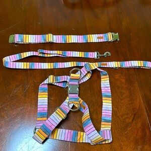 The Calypso collar, leash, and harness